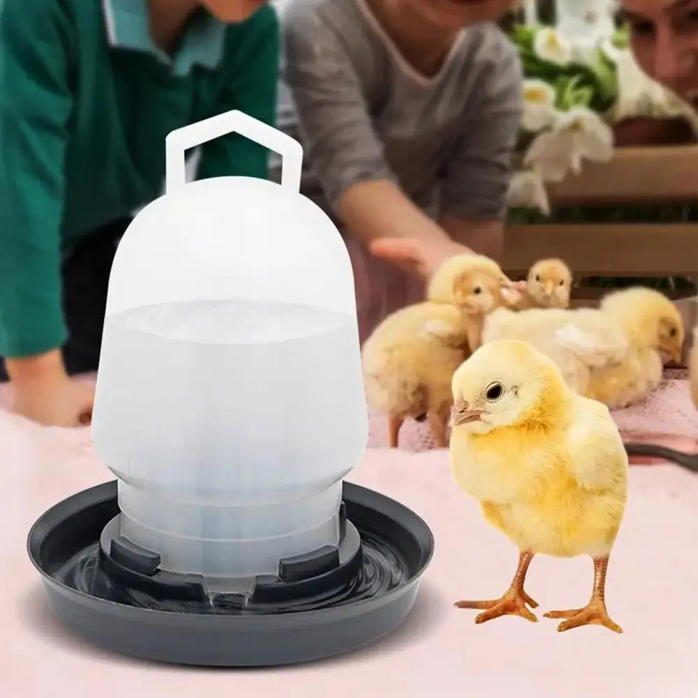 Parrot Drinking Bowl Water Feeder Home Poultry Water Drinking Cup For Birds 1/3/5PCS Chicken Water Pot Automatic Chick Drinker thumbnail 4