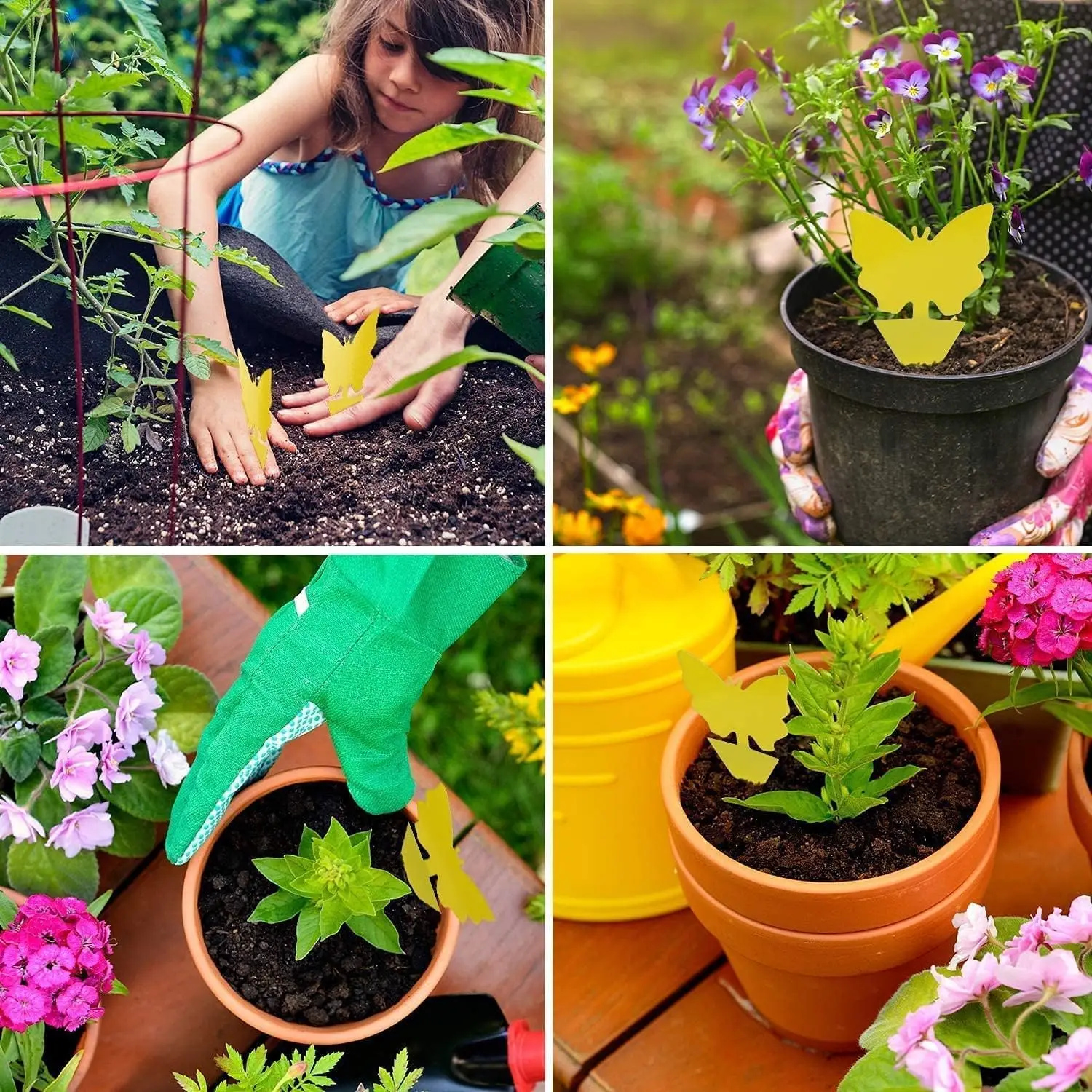 Sticky Traps Fruit Fly Trap Yellow Sticky Bug Trap for Indoor Outdoor Use Insect Pest Control Garden Strong Glue Plant ant trap thumbnail 4