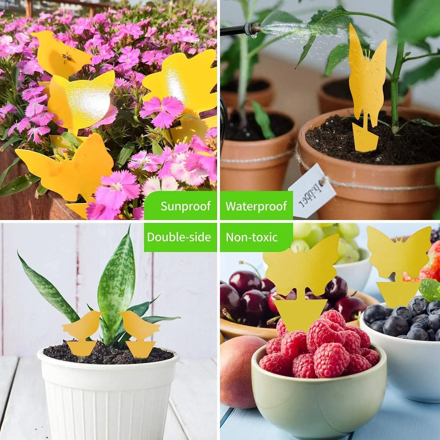 Sticky Traps Fruit Fly Trap Yellow Sticky Bug Trap for Indoor Outdoor Use Insect Pest Control Garden Strong Glue Plant ant trap thumbnail 6