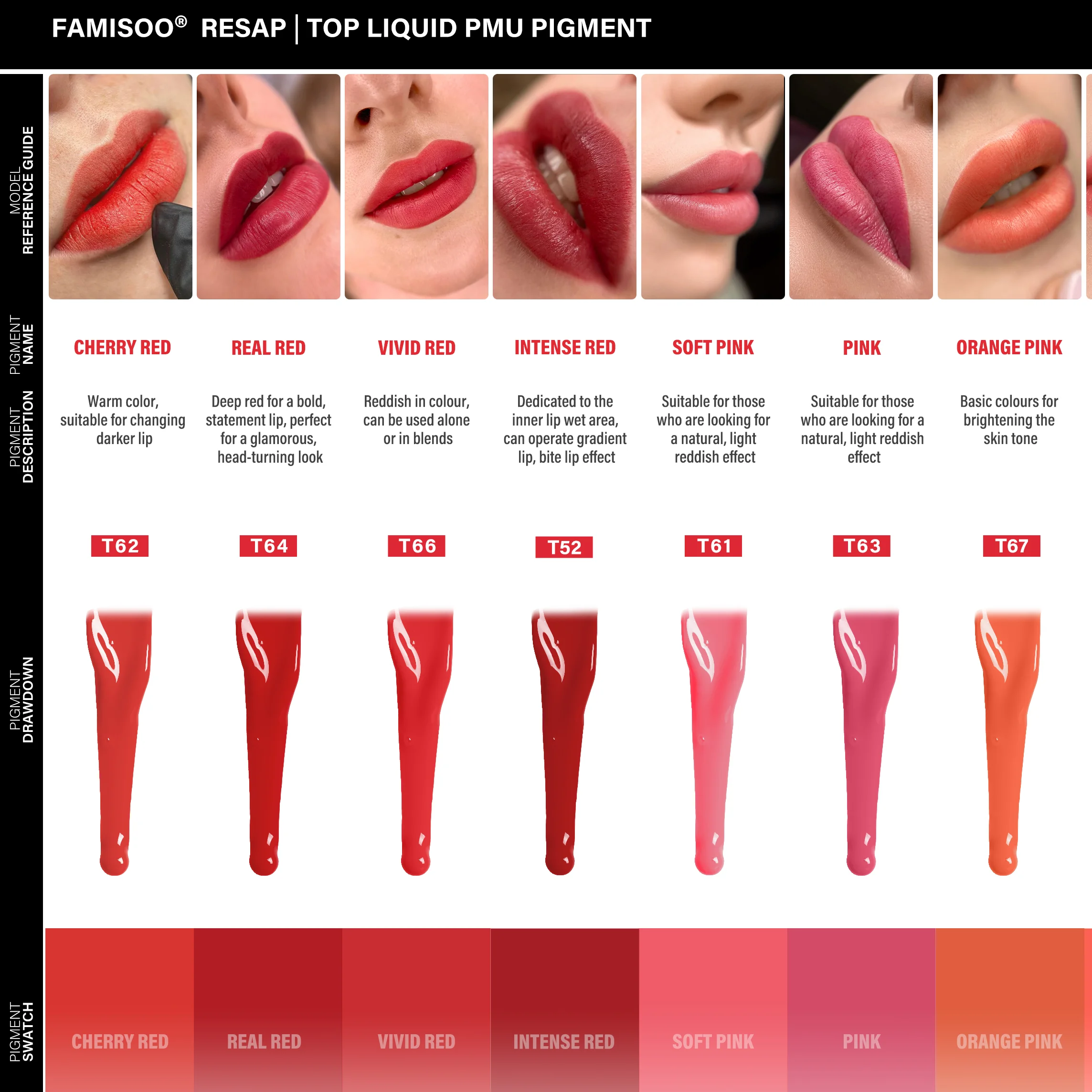 FAMISOO Permanent Makeup Pigment Long-Lasting Makeup Lip Professional Tattoo Inks Lip Pigments 5ml PMU Microblading Eyebrow Ink thumbnail 3
