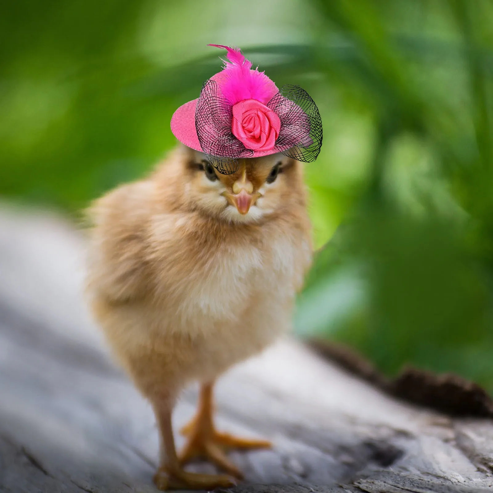 Chicken Hat for Hens Tiny Pets Funny Chicken Accessories Hen Top Hat for Rooster Duck Parrot Hamster Poultry Stylish Show Costum thumbnail 3
