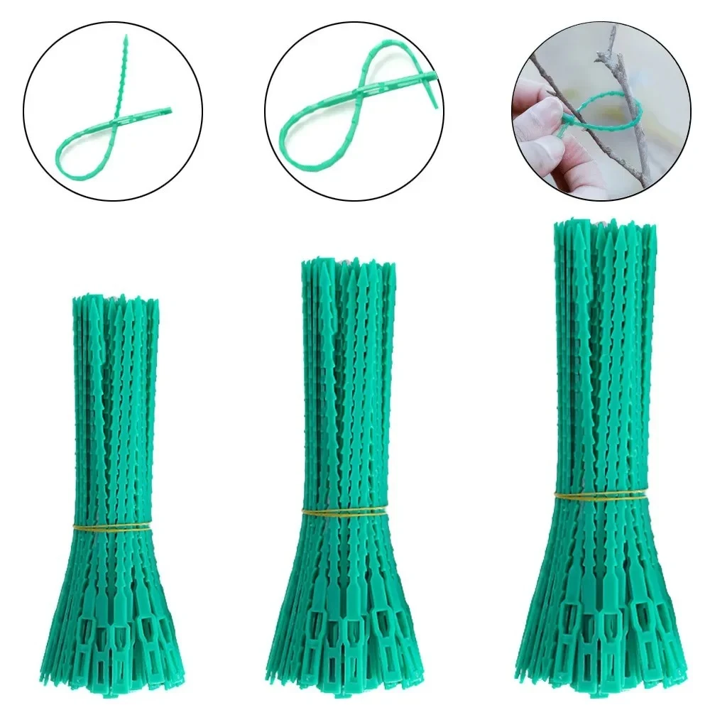 Reusable Garden Cable Ties Plant Vine Tree Shrubs Support Fastener Locking Nylon Adjustable Zipper Cables Ties Organizer Tools thumbnail 2