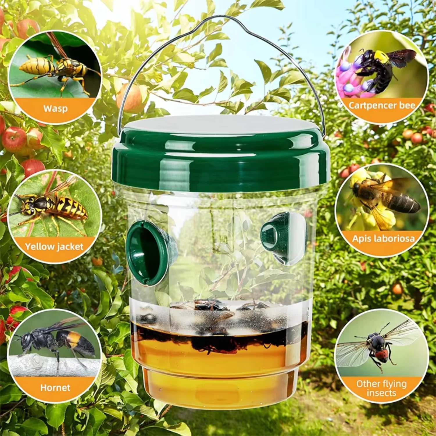 1-6PCS Large Wasp Traps Waterproof Hanging Hornets Trap for Indoor Outdoor Reusable Garden Fruit Fly Catcher Pest Control Tools thumbnail 4