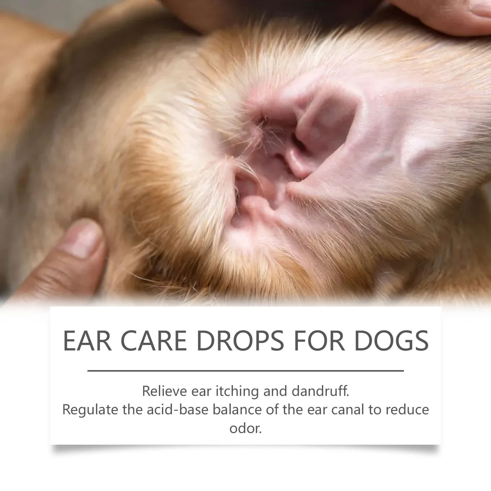 Dog Ear Care Drops Relieve Itching Dandruff Reduce Odor Anti-Fungals Earwax Remover No Irritating Pet Ear Cleaner Liquid 60ml thumbnail 4