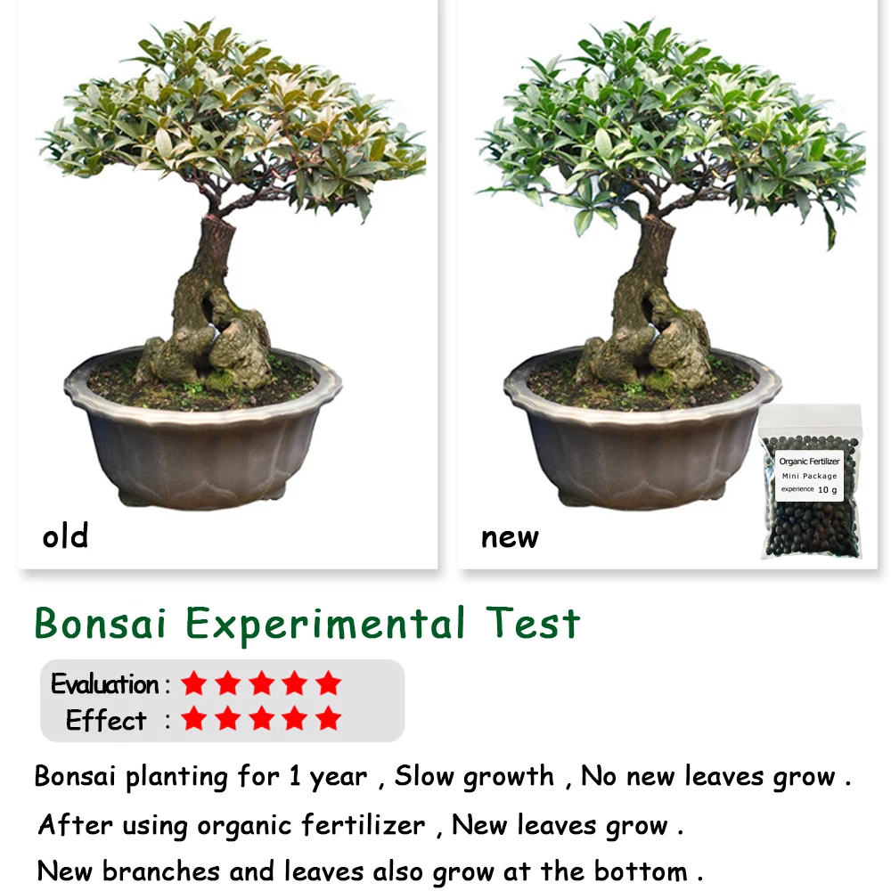 10 G Organic Fertilizer Mini Package Green General Purpose Safe And Pollution Free Use Flower Plant Food For Garden Bonsai thumbnail 3