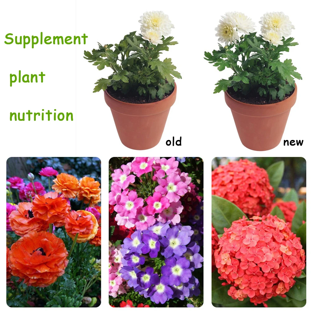 10 G Organic Fertilizer Mini Package Green General Purpose Safe And Pollution Free Use Flower Plant Food For Garden Bonsai thumbnail 4