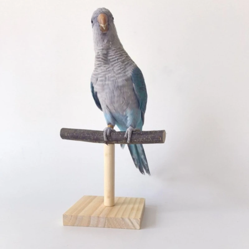 Bird Perch Stand Portable Bird Training Tabletop Platform Interactive Parrot Toys thumbnail 2