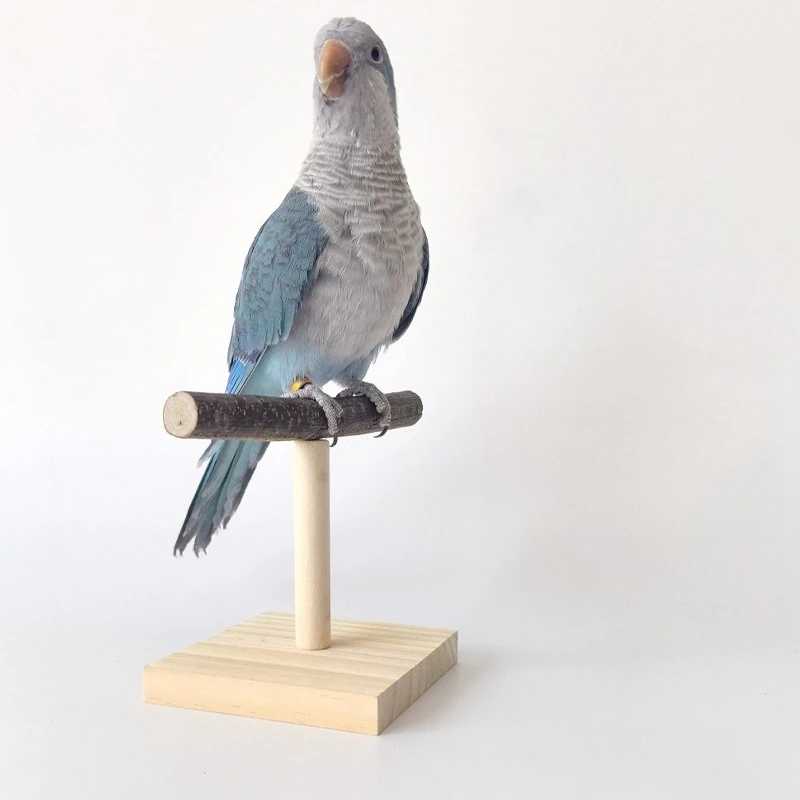 Bird Perch Stand Portable Bird Training Tabletop Platform Interactive Parrot Toys thumbnail 4