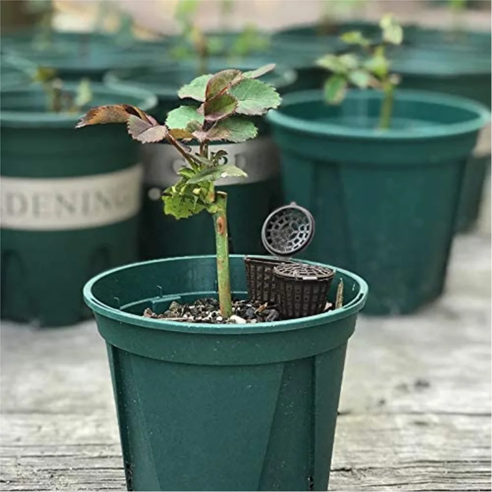 5Pcs Fertilizer Mesh Baskets Garden Nursery Pots Portable Aquarium with Lid Planting Nutrition Cups for Succulent,Orchid,Bonsai thumbnail 5