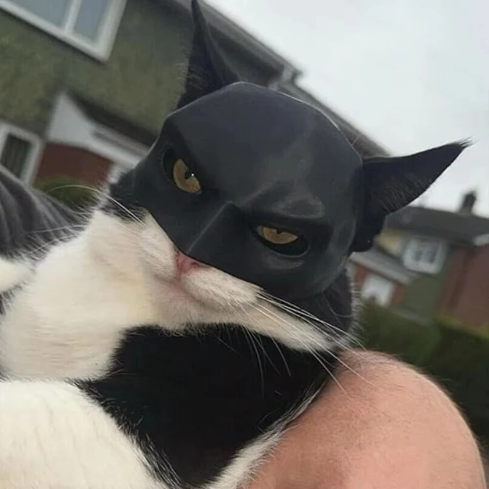 Cat Avenger Mask Bat Halloween 3D Printed Cosplay Hat Cat  Funny Toys Photos Props Pet Accessories thumbnail 4