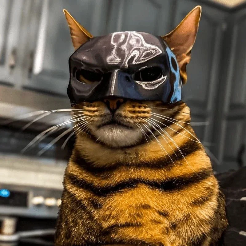 Cat Avenger Mask Bat Halloween 3D Printed Cosplay Hat Cat  Funny Toys Photos Props Pet Accessories thumbnail 2