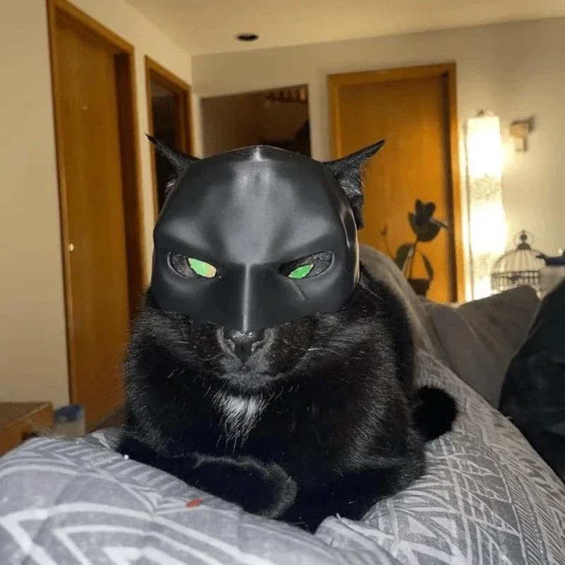 Cat Avenger Mask Bat Halloween 3D Printed Cosplay Hat Cat  Funny Toys Photos Props Pet Accessories thumbnail 3