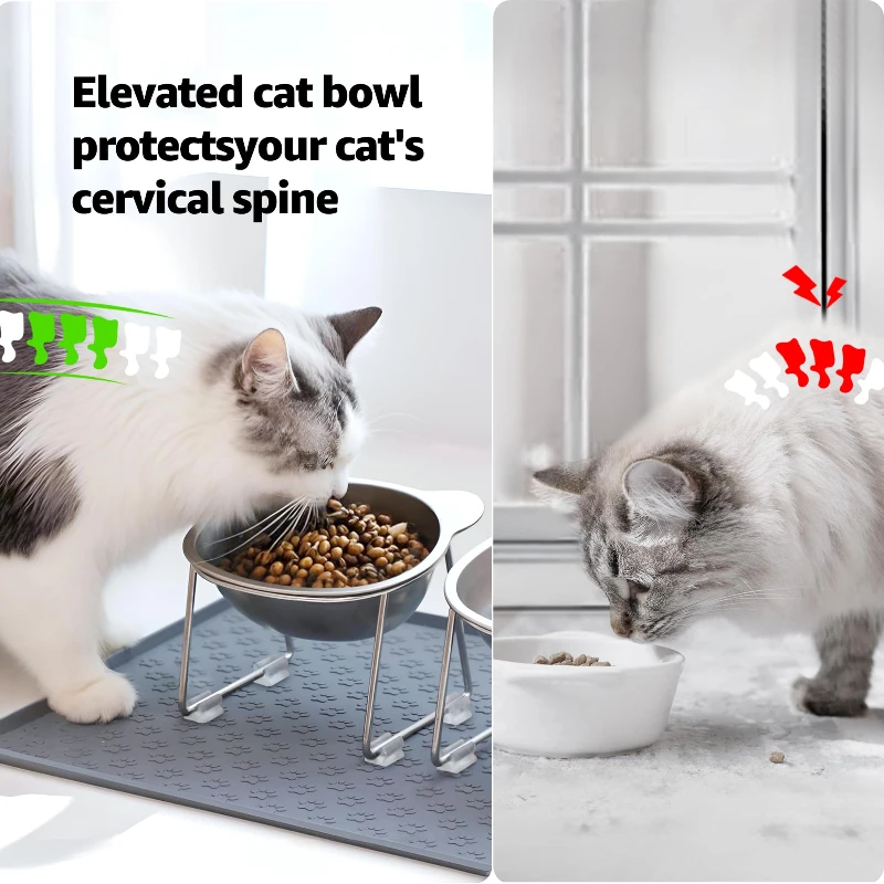 ‌304 Stainless Steel Raised Cat Bowl with 15° Elevated Design Tilted Neck Guard Healthy Feeding Shatterproof for Cats Puppies thumbnail 2