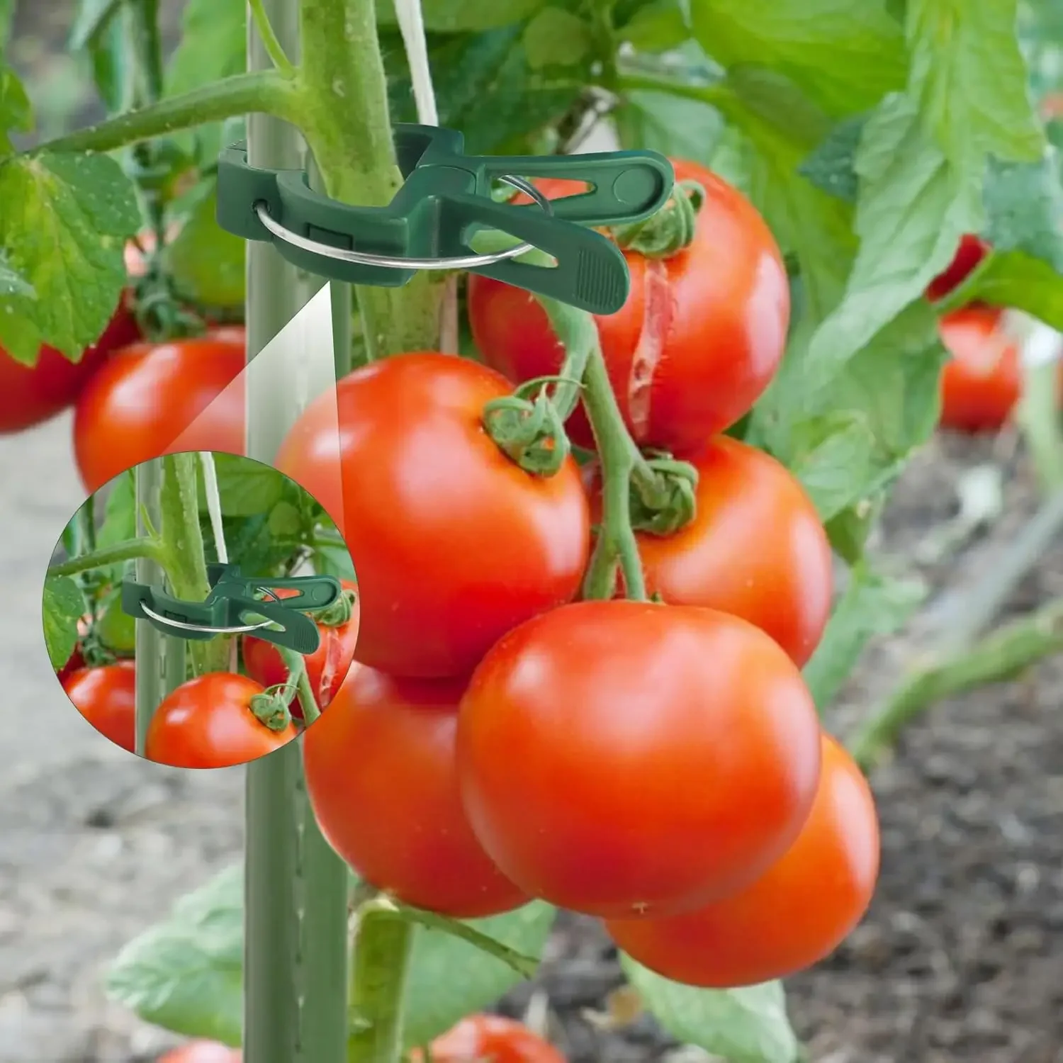 Plant Fixed Clips Reusable Greenhouse Bracket forFixing Stems of Flower Vine Vegetables Tomatoes Fastener Garden Supplies thumbnail 3