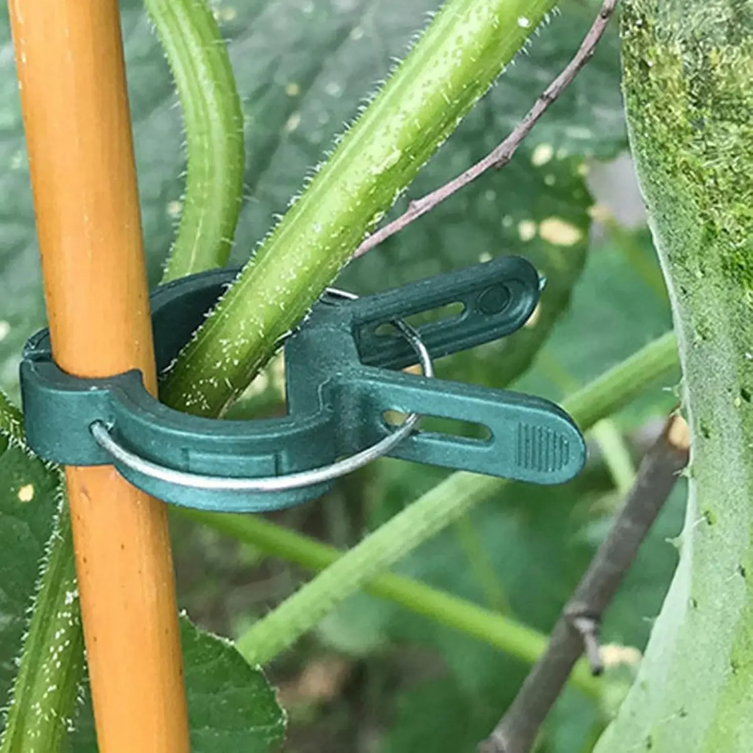 Plant Fixed Clips Reusable Greenhouse Bracket forFixing Stems of Flower Vine Vegetables Tomatoes Fastener Garden Supplies thumbnail 2