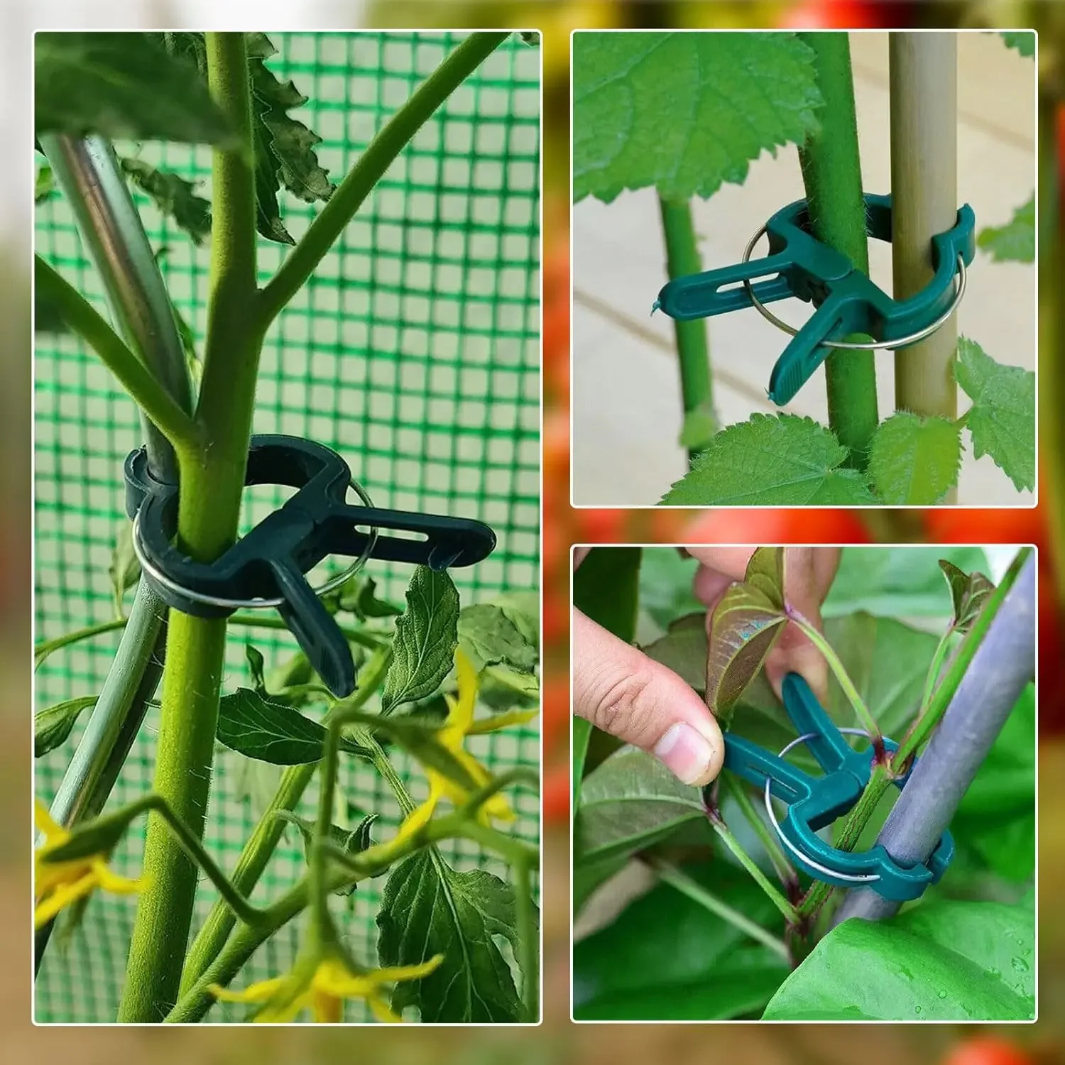 Plant Fixed Clips Reusable Greenhouse Bracket forFixing Stems of Flower Vine Vegetables Tomatoes Fastener Garden Supplies thumbnail 4