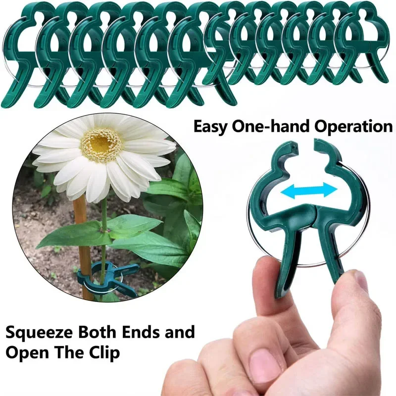 Plant Fixed Clips Reusable Greenhouse Bracket forFixing Stems of Flower Vine Vegetables Tomatoes Fastener Garden Supplies thumbnail 5