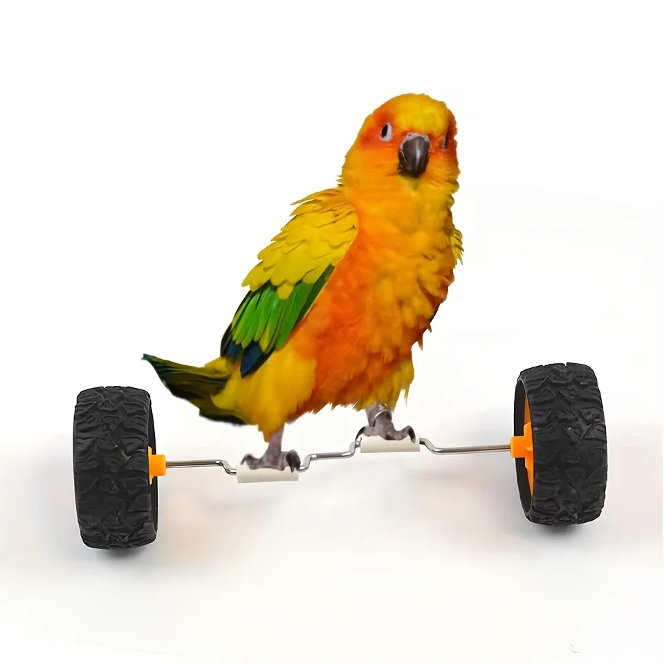 Parrot Balance Birds Intelligence Training Interactive Toy Mini Bicycle Wheels Roller for Small Medium Birds Pet Supplies Toys thumbnail 2