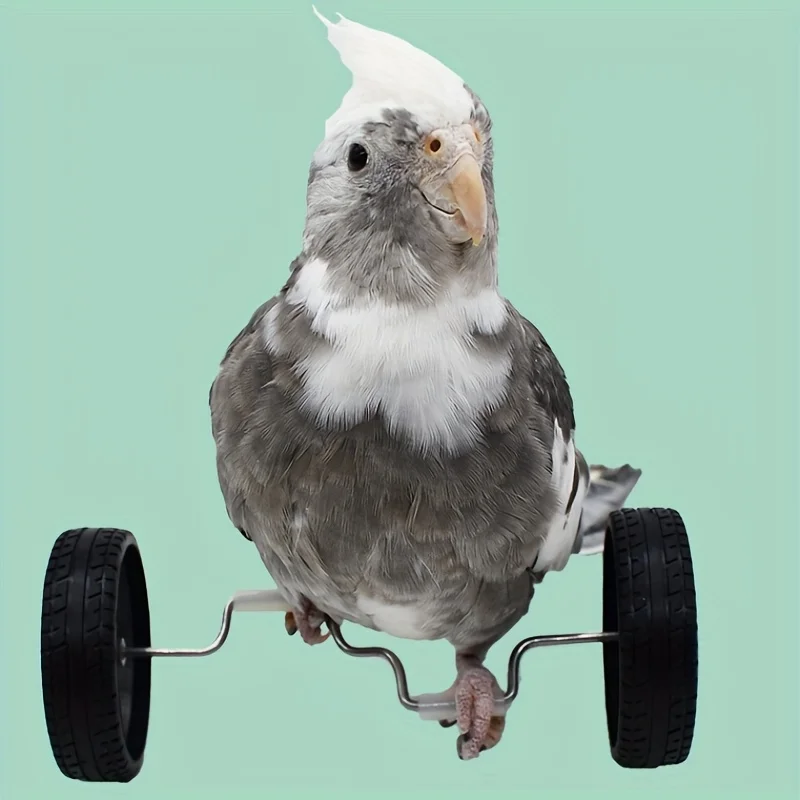 Parrot Balance Birds Intelligence Training Interactive Toy Mini Bicycle Wheels Roller for Small Medium Birds Pet Supplies Toys thumbnail 6