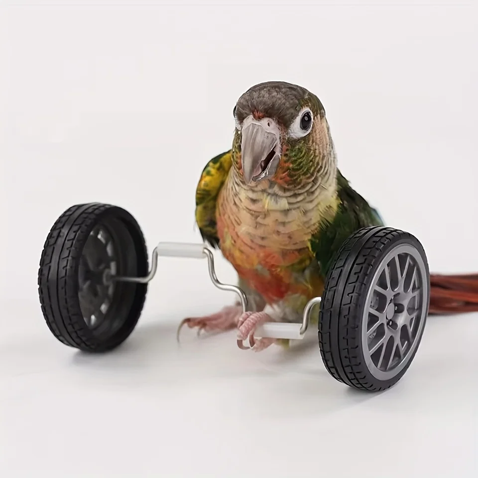 Parrot Balance Birds Intelligence Training Interactive Toy Mini Bicycle Wheels Roller for Small Medium Birds Pet Supplies Toys thumbnail 3
