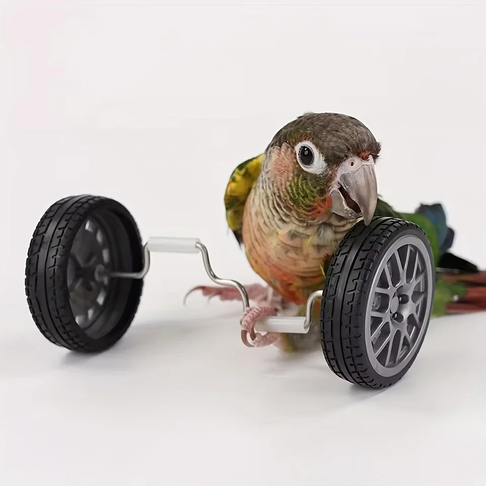 Parrot Balance Birds Intelligence Training Interactive Toy Mini Bicycle Wheels Roller for Small Medium Birds Pet Supplies Toys thumbnail 4