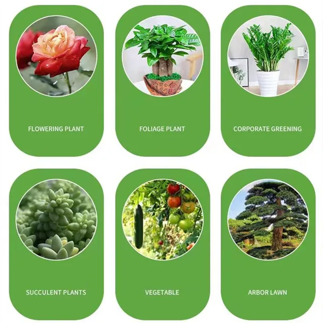 200g Garden Water-soluble Fertilizer For Plants Flowers Bonsai Succulent 20-20-20+te Npk Compound Fertilizer With Trace Element thumbnail 6