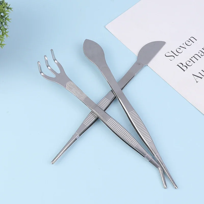 2-in-1  304 Stainless Steel Root Rake with Bonsai Tweezers with Ergonomical Handle Soil Farming Tool for Succulents Crafting thumbnail 3