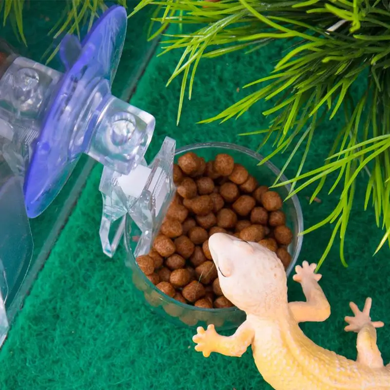Reptile Water Food Bowl Suction Cup Food Tray Gecko Reptile Lizards Spider Tree Frogs Feeder Habitat Decoration Pet Supplies thumbnail 4