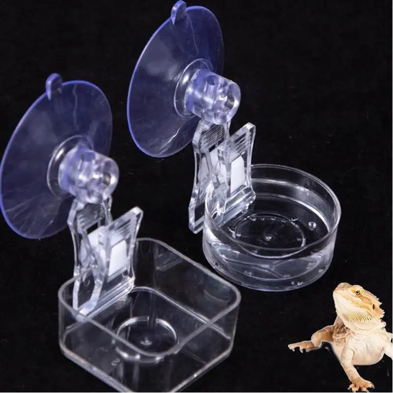 Reptile Water Food Bowl Suction Cup Food Tray Gecko Reptile Lizards Spider Tree Frogs Feeder Habitat Decoration Pet Supplies thumbnail 2