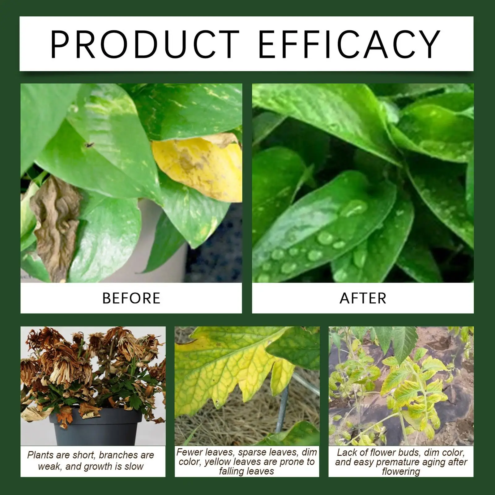 100g Plant Fertilizer Powder Plant Growth Nutrient Fertilizer Safe and Effective Rooting Supplement for Soil Culture Hydroponics thumbnail 6