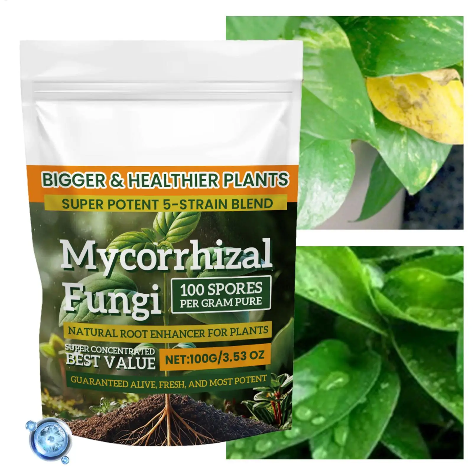 100g Plant Fertilizer Powder Plant Growth Nutrient Fertilizer Safe and Effective Rooting Supplement for Soil Culture Hydroponics thumbnail 3