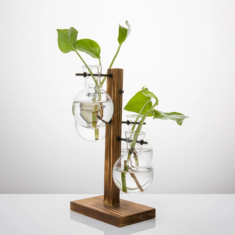Hydroponic Plant Glass Vase, Modern Desktop Plant Terrarium Planter Bulb Water Planting Propagation Planters Hydroponics Plants thumbnail 2