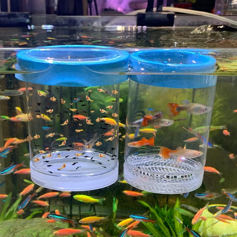 Floating Breeder Box for Fish Tank Aquarium Double-layer Isolation Incubator for Guppy Baby Betta Aggressive Injured Fish