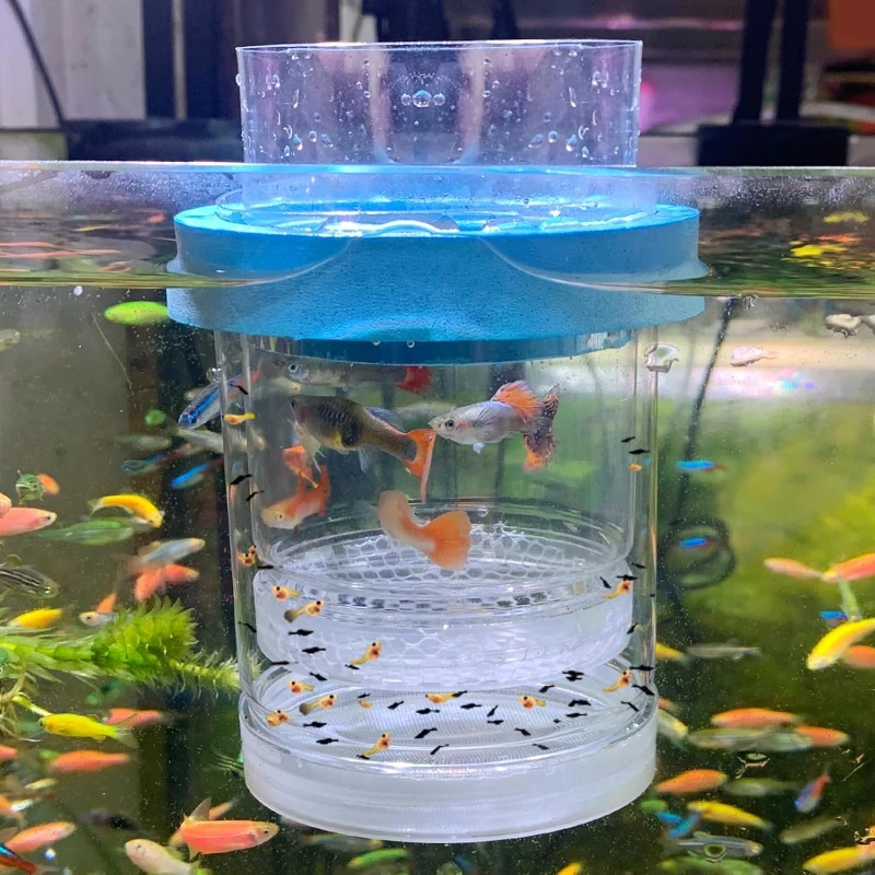 Floating Breeder Box for Fish Tank Aquarium Double-layer Isolation Incubator for Guppy Baby Betta Aggressive Injured Fish thumbnail 6