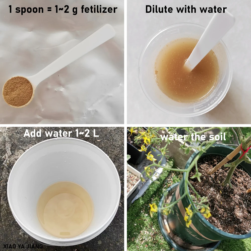 50g Bacillus Licheniformis 100 Billion Microbial Organic Fertilizer Organic Farming Improves Soil Structure & Plant Vitality thumbnail 3