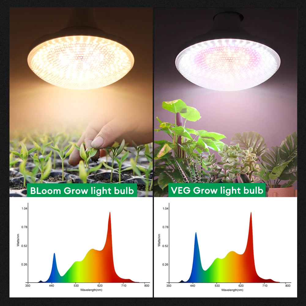 GRAXGROW 24W E27 Growth Bulb Six Spectral Beads Formation Aluminum Lamp Body Is Suitable For Growth Of Various Plants thumbnail 3