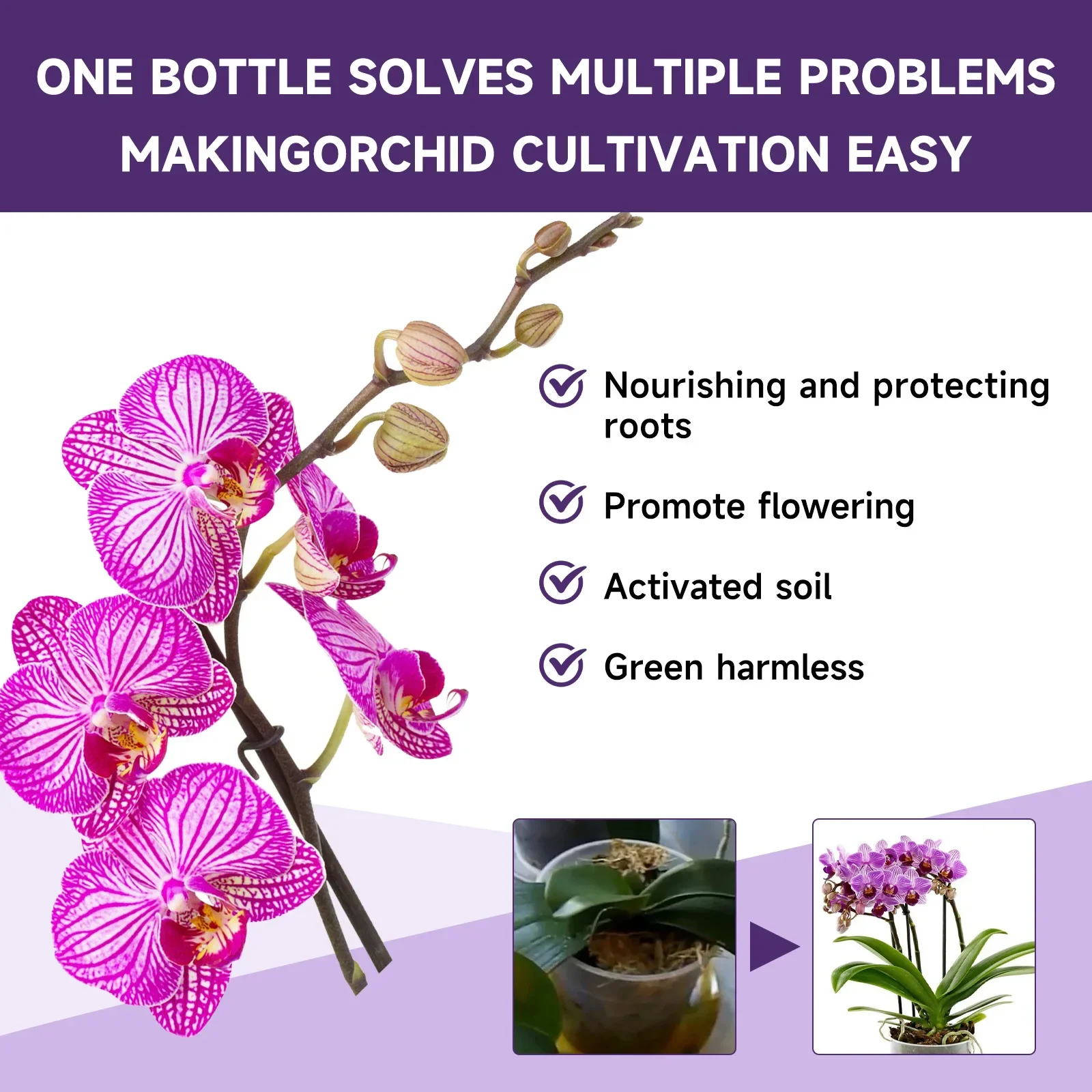 50ml Orchid Special Liquid Flower Fertilizer Hydroponic Garden Plant Nutrition Growth Supplement Compound Nutrients for Flowers thumbnail 5