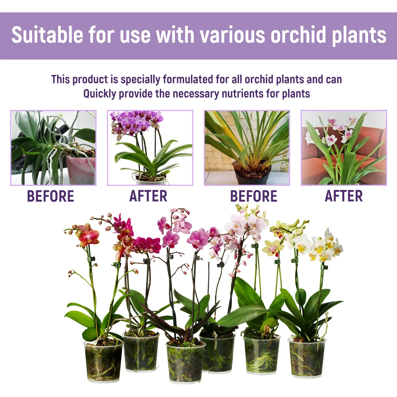 50ml Orchid Special Liquid Flower Fertilizer Hydroponic Garden Plant Nutrition Growth Supplement Compound Nutrients for Flowers thumbnail 4