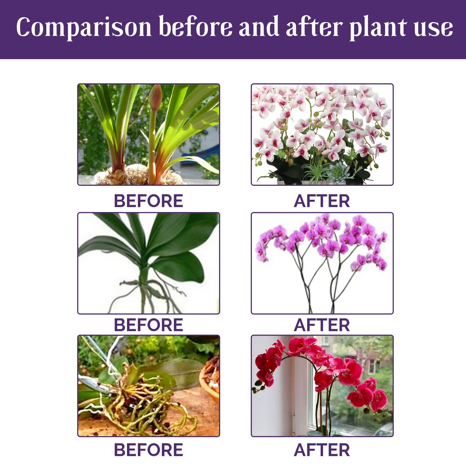 50ml Orchid Special Liquid Flower Fertilizer Hydroponic Garden Plant Nutrition Growth Supplement Compound Nutrients for Flowers thumbnail 2
