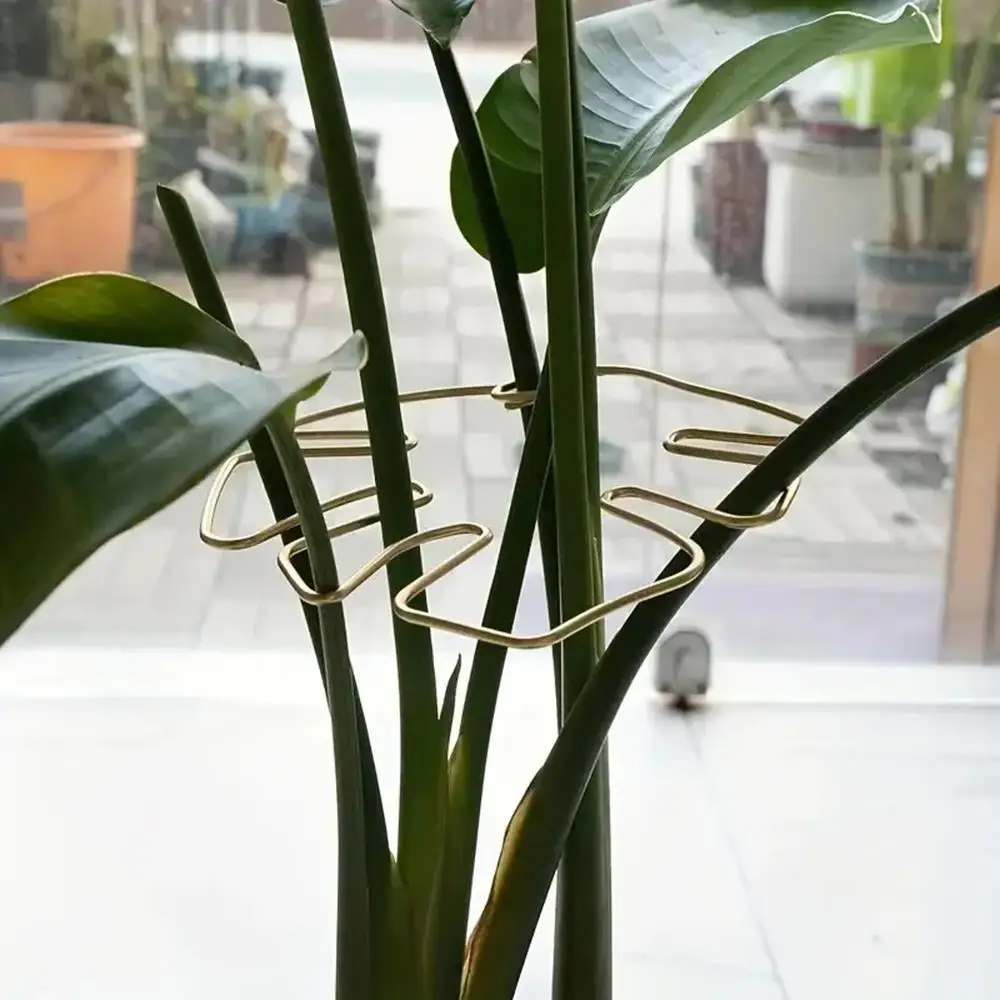 Plant Stem Support Clips Support Fixer Flower Stem Gathering Frame Hanging Plant Stand Plants Stabilization Anti-Toppling Fixing thumbnail 6