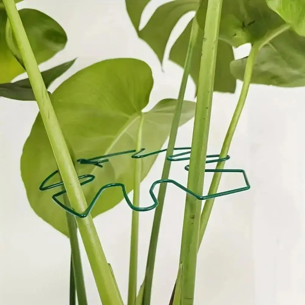Plant Stem Support Clips Support Fixer Flower Stem Gathering Frame Hanging Plant Stand Plants Stabilization Anti-Toppling Fixing thumbnail 5