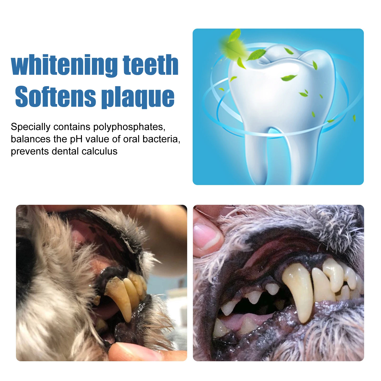 Pet Oral Tartar Remover Spray Deep Clenaing Yellow Teeth Eliminate Bad Breath Fresh Breath Whitening Teeth Pet Oral Foam Cleaner thumbnail 5