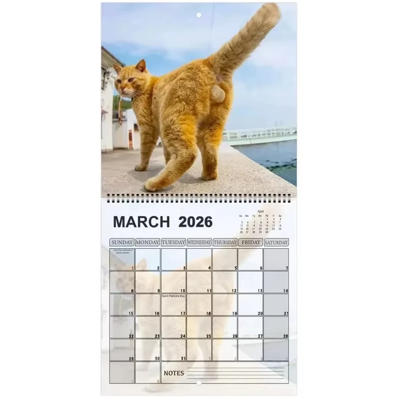 New 2026 Cat Calendar Funny Cats Butt Illustration Hilarious Gag Gift 12 Monthly Agenda Planner Organizer Office Home Wall Decor thumbnail 4