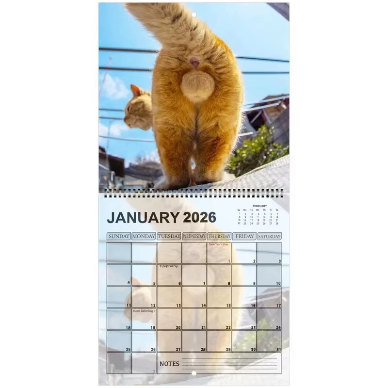 New 2026 Cat Calendar Funny Cats Butt Illustration Hilarious Gag Gift 12 Monthly Agenda Planner Organizer Office Home Wall Decor thumbnail 5