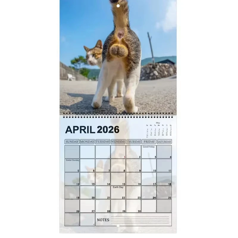 New 2026 Cat Calendar Funny Cats Butt Illustration Hilarious Gag Gift 12 Monthly Agenda Planner Organizer Office Home Wall Decor thumbnail 2