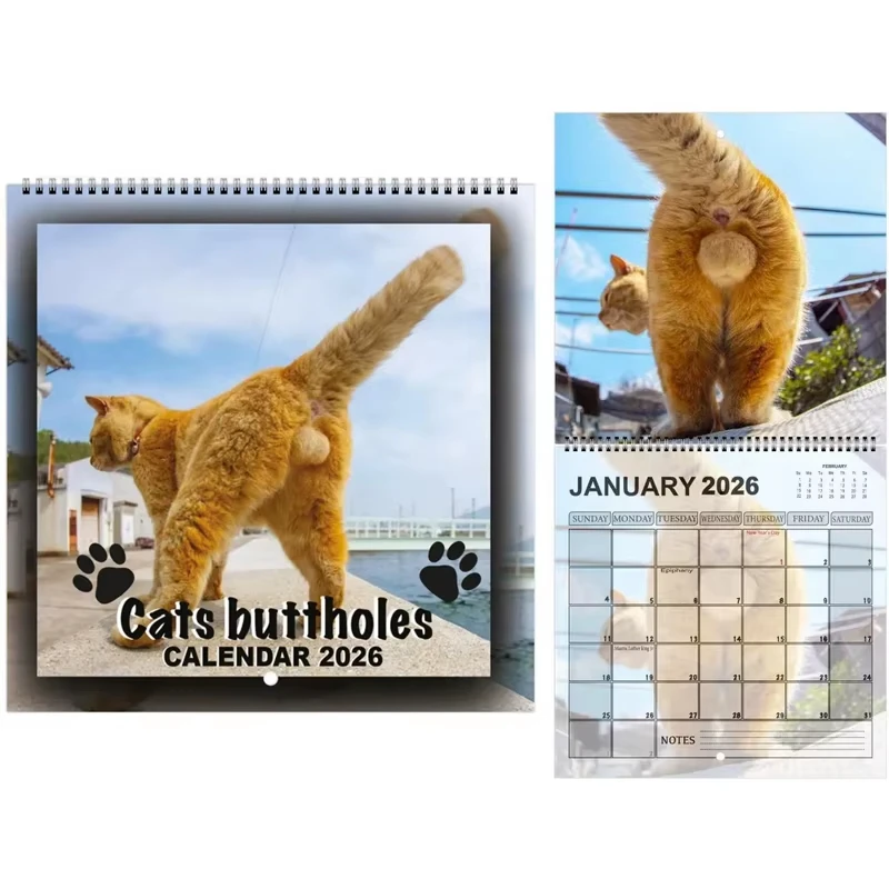 New 2026 Cat Calendar Funny Cats Butt Illustration Hilarious Gag Gift 12 Monthly Agenda Planner Organizer Office Home Wall Decor thumbnail 6