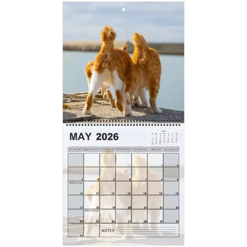 New 2026 Cat Calendar Funny Cats Butt Illustration Hilarious Gag Gift 12 Monthly Agenda Planner Organizer Office Home Wall Decor thumbnail 3