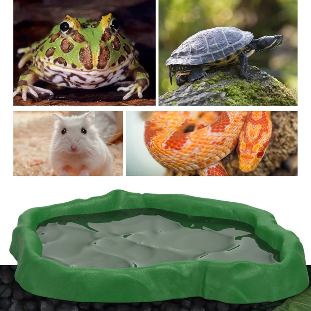 Crawler Pet Feeder Basin Reptiles Amphibians Drinking Feeder Turtle Tortoise Scorpion Lizard Crab Bowl Small Pet Supplies thumbnail 2
