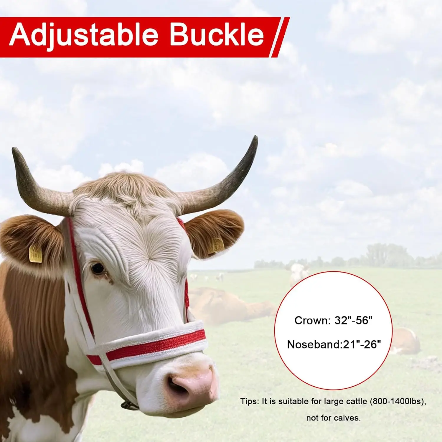 Heavy Duty Livestock Halter Adjustable Cow Halter Nylon Rope Lead for Cattle Farm Animals Dinosaur Major Discipline thumbnail 4