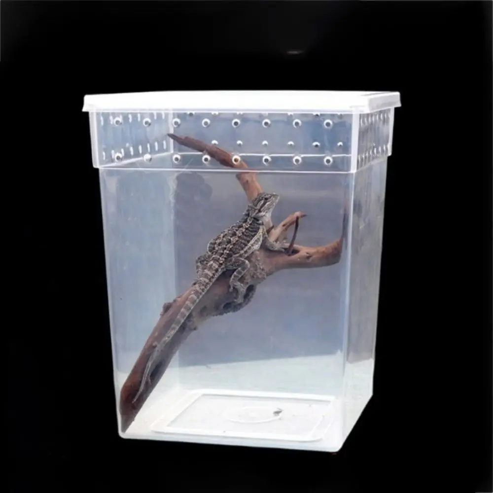Household Reptile Accessories for Scorpion Spider Ants Hatching Tank Insect Feeding Box Lizard Living Box Reptile Habitat